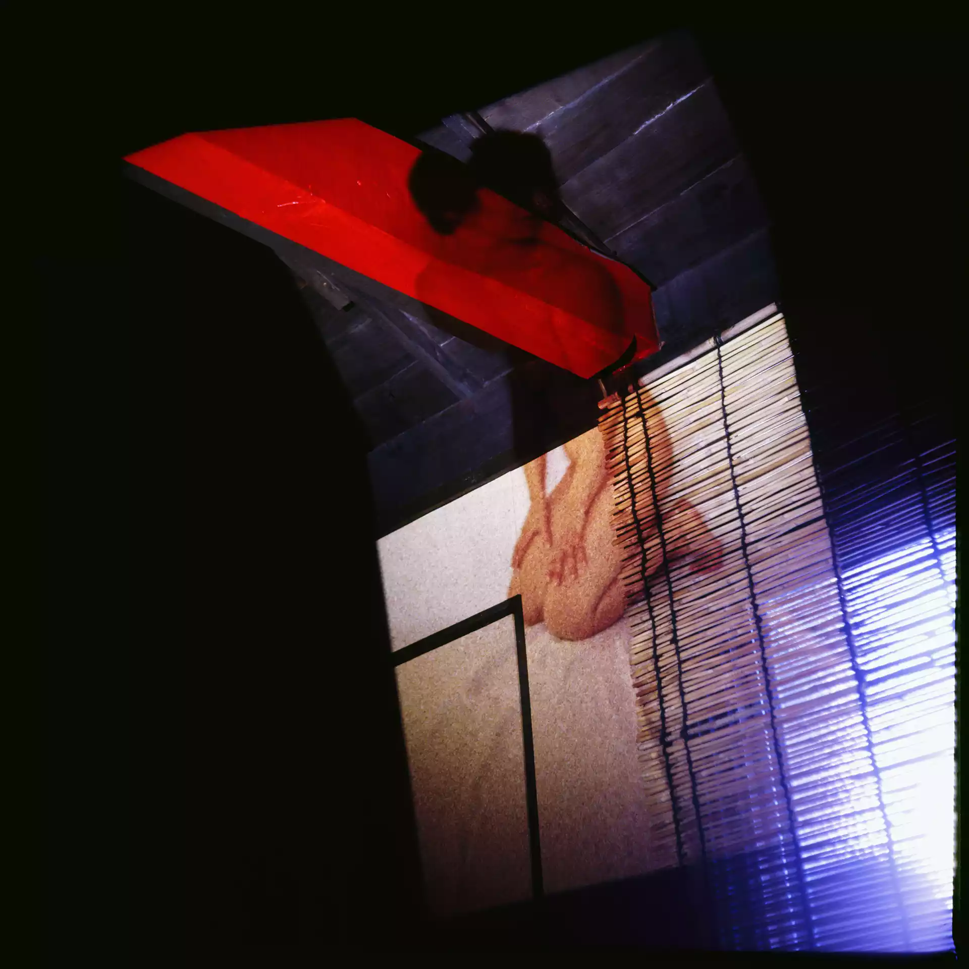 2005_oeuvres_projection_photographie_Japon_corps_maison_traditionnelle_memoire_secrete