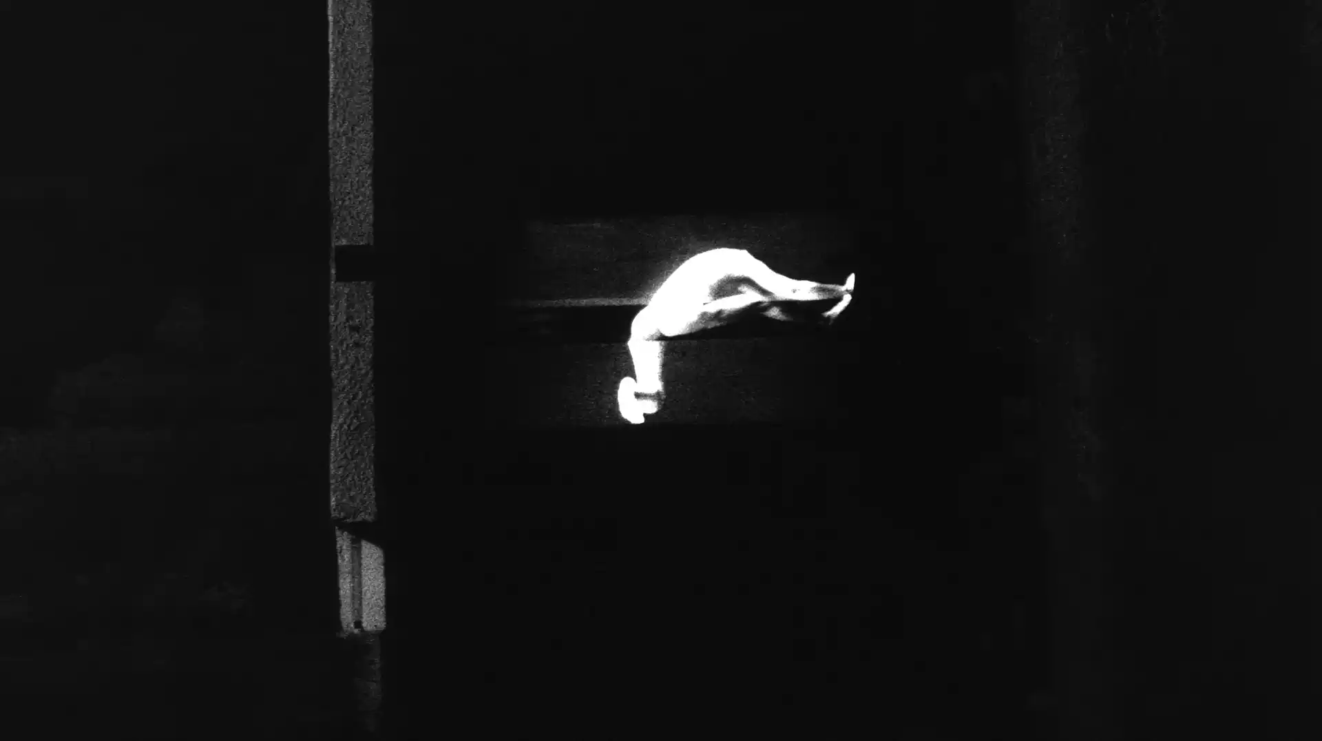1998_oeuvres_lumiere_in_situ_projection_photographies_corps_deformation_Arbresles_escalier