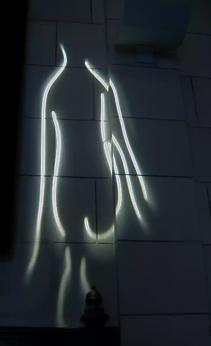 2007_oeuvres_graphisme_silhouette_lumiere_corps_mur_in_situ_gobo