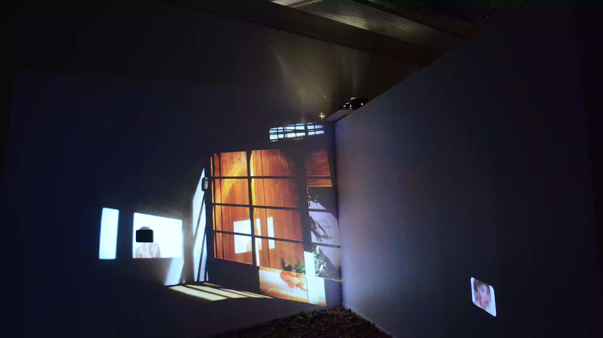 2012_oeuvres_lumiere_in_situ_projection_photographies_corps_Japon_miroir_feuilles_ginkgo_Roche_Yon_Waga_sugata
